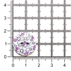 Пуговица 'Орнамент' 28L (18мм) 2 прокола, дерево